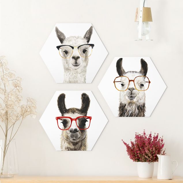 Quadri animali Set di occhiali da sole I