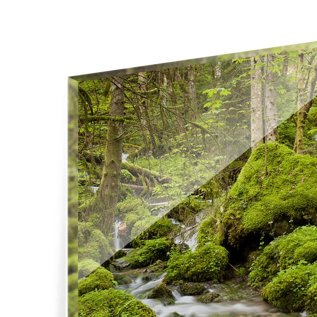 Paraschizzi in vetro - Mossy Stones Switzerland