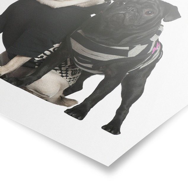 Poster - Pug Fashion - Quadrato 1:1