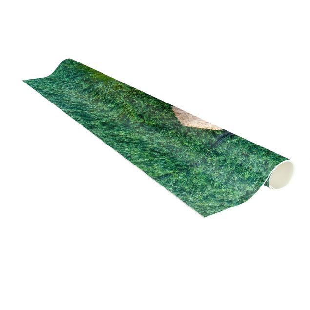 Tappeti verdi Capanna di paglia in canna alta