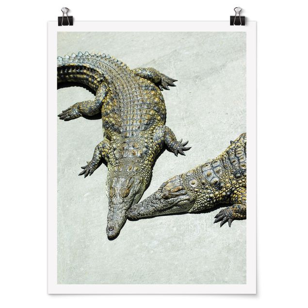Poster - Crocodile Romance - Verticale 4:3