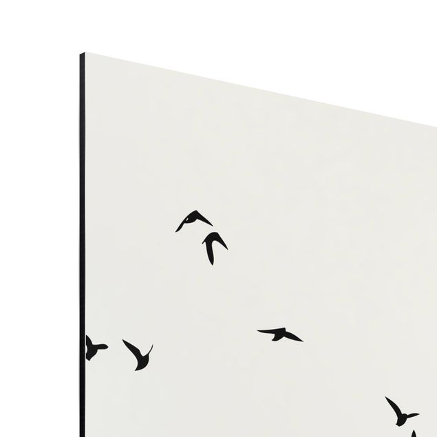 Stampa su alluminio - Stormo di uccelli davanti al sole dorato - Quadrato 1:1