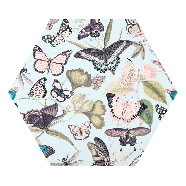 Esagono in forex - Vintage Collage - farfalle e libellule