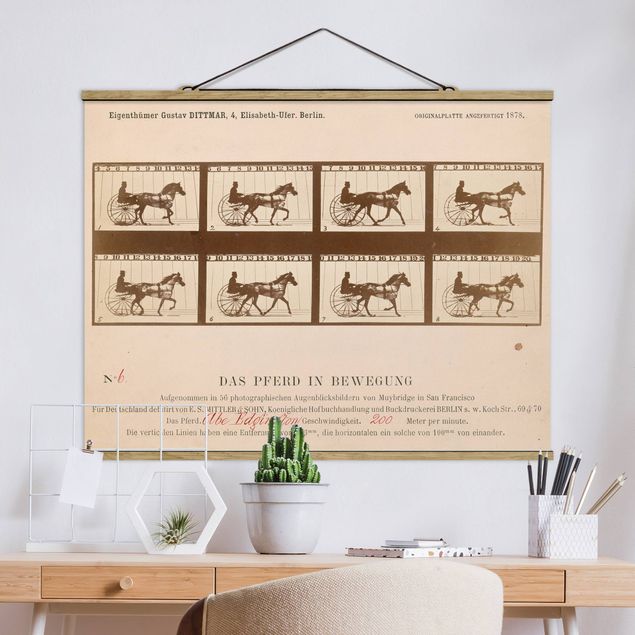 Quadri animali Eadweard Muybridge - Il cavallo in movimento