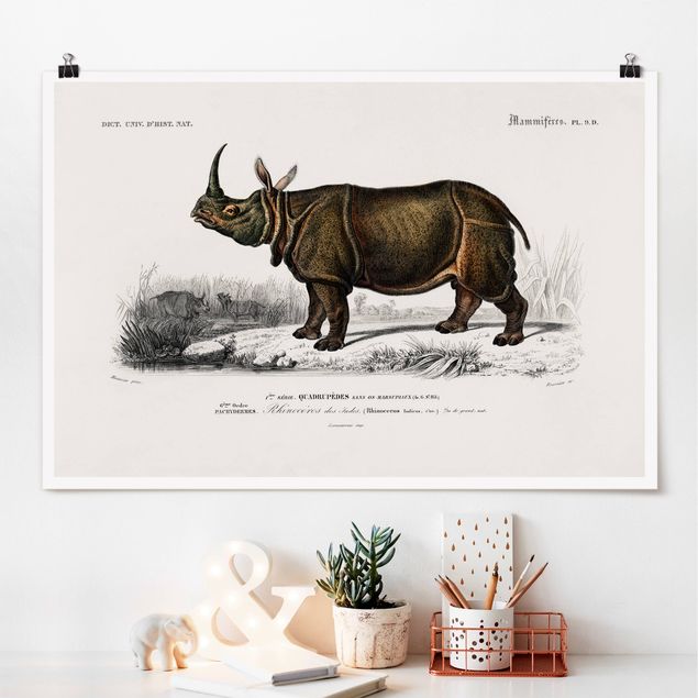 Quadri animali Bacheca Vintage Rinoceronte