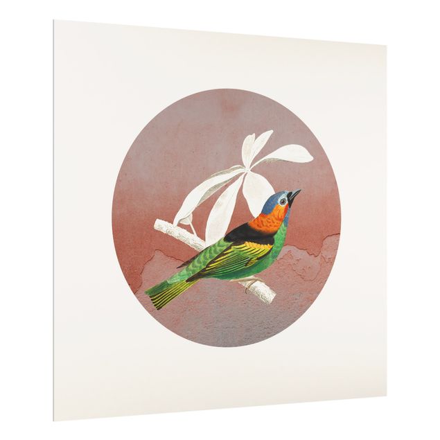 Paraschizzi in vetro - Collage di uccellini in cerchio II - Quadrato 1:1