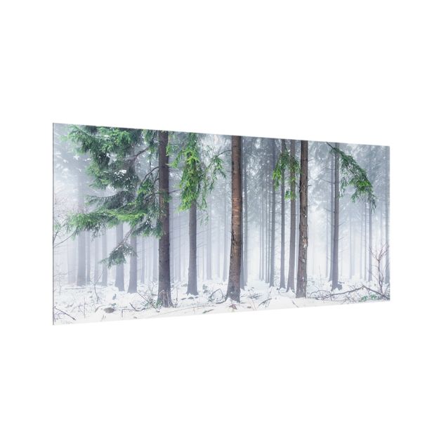 Paraschizzi in vetro - Conifere d'inverno - Formato orizzontale 2:1