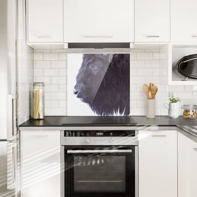 Paraschizzi cucina bianco Ritratto di bufalo nero