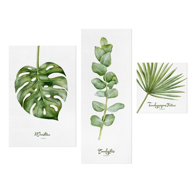 Stampa su tela - Watercolor Botany - Collage 2