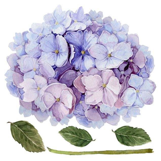 Adesivo murale - Acquerello Hydrangea blu Bloom XXL