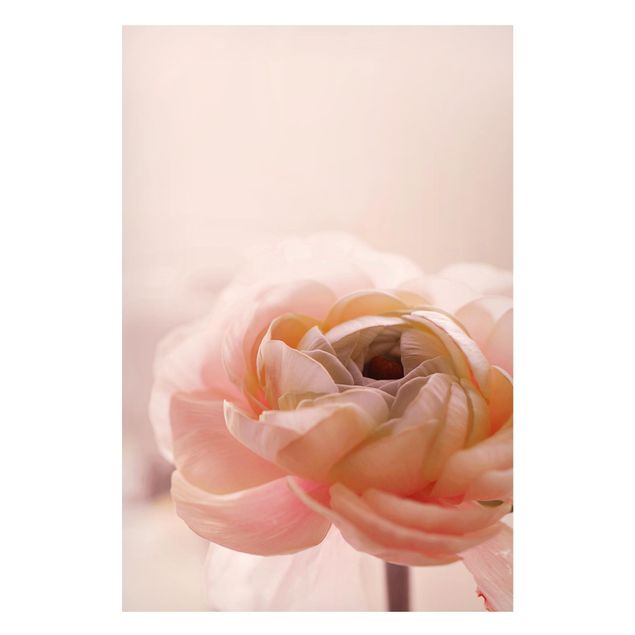 Lavagna magnetica - Focus su fioritura rosa