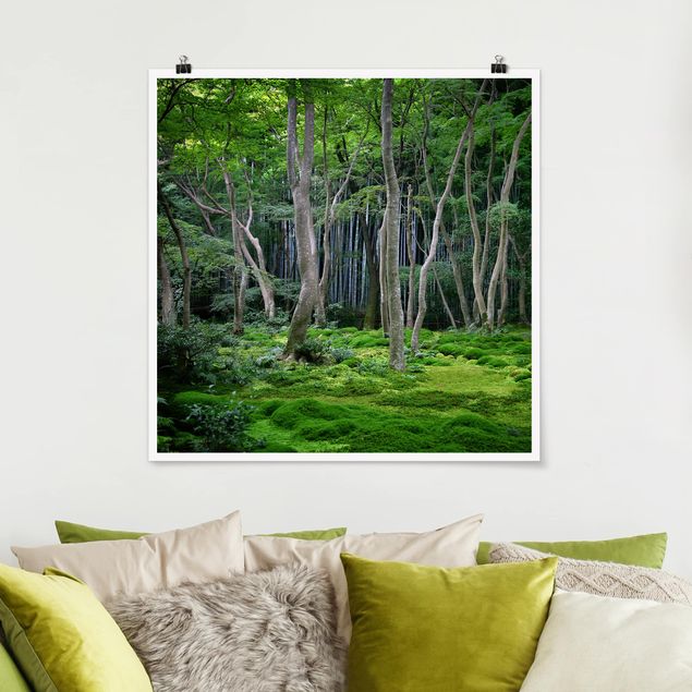 Poster - Foresta giapponese - Quadrato 1:1