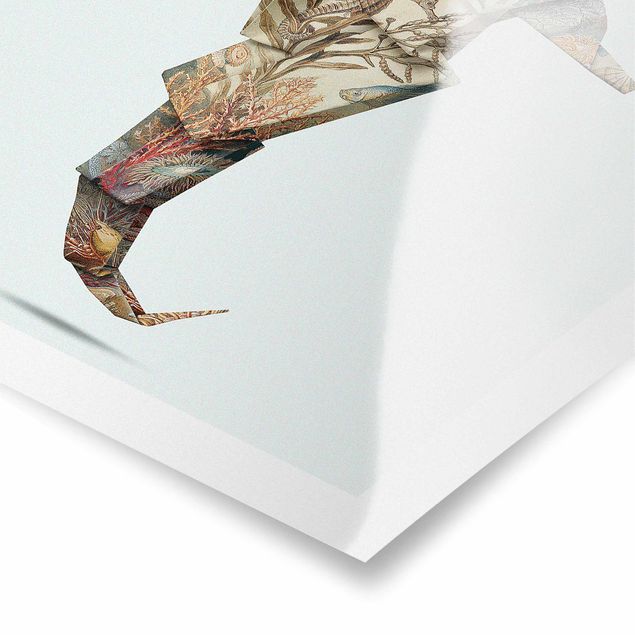 Poster - origami Seahorse - Quadrato 1:1