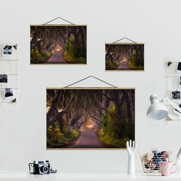 Foto su tessuto da parete con bastone - Tunnel dagli alberi - Orizzontale 2:3