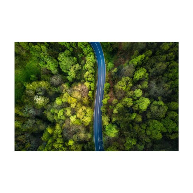 Tappeto verde Vista aerea - Strada asfaltata nella foresta