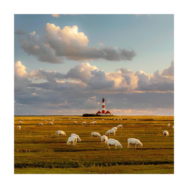 Tappeti effetto naturale Faro sul Mare del Nord con gregge di pecore