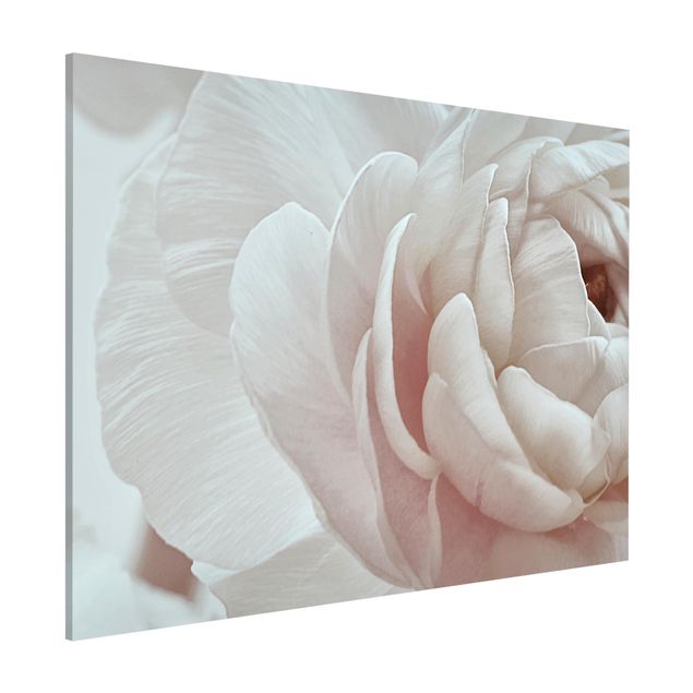 Lavagna magnetica per ufficio Fiore bianco in un oceano di fiori