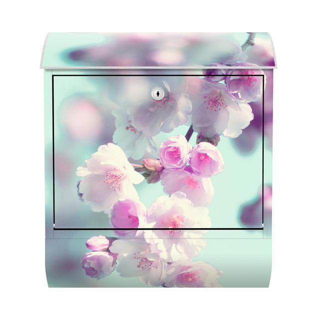 Cassetta postale - Fiori di ciliegio colorati
