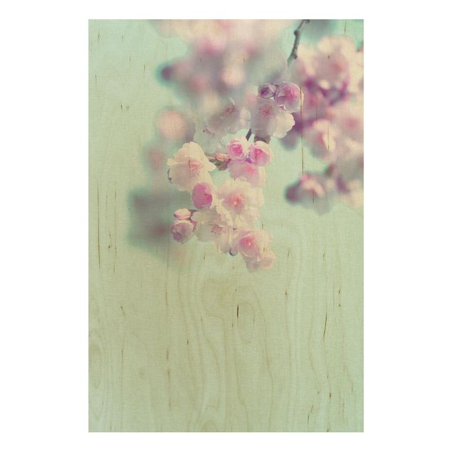 Stampa su legno - Fiori di ciliegio colorati