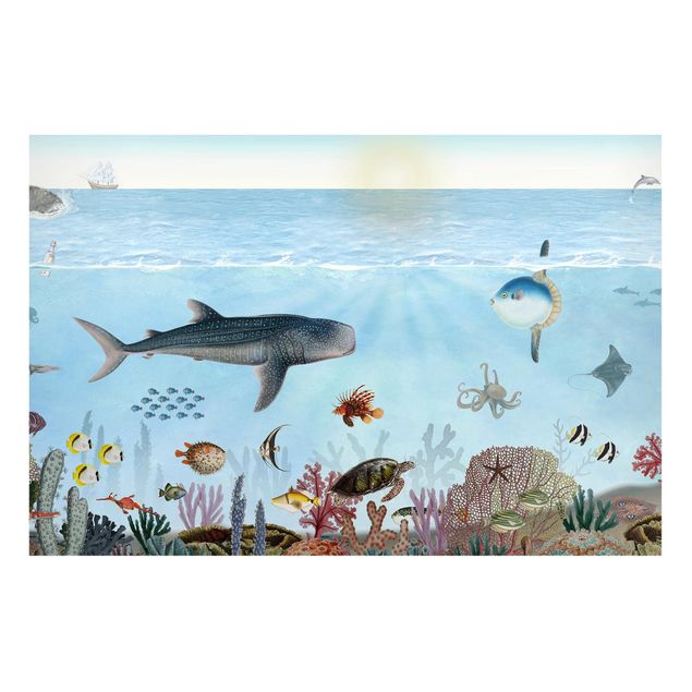 quadri con animali Creature affascinanti nella barriera corallina
