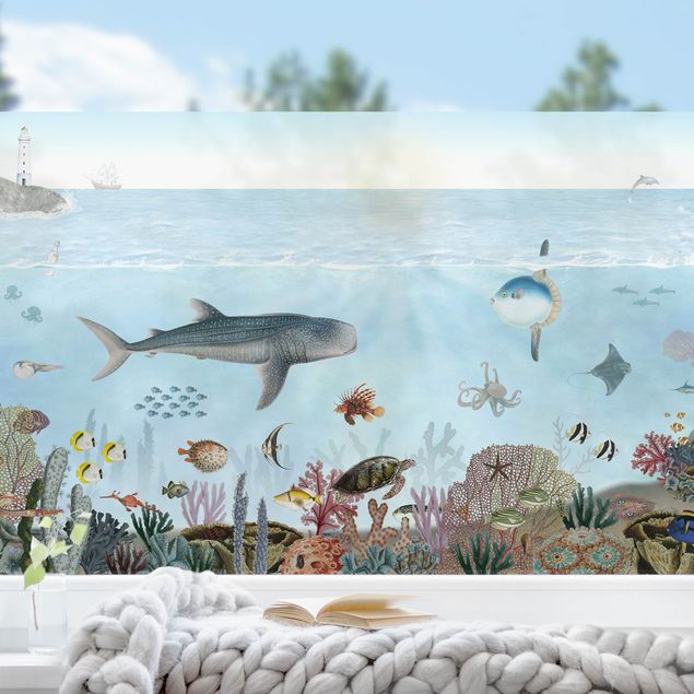 Pellicola per vetri per salone Creature affascinanti nella barriera corallina