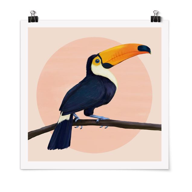 Poster - Illustrazione Uccello Toucan pastello pittura - Quadrato 1:1