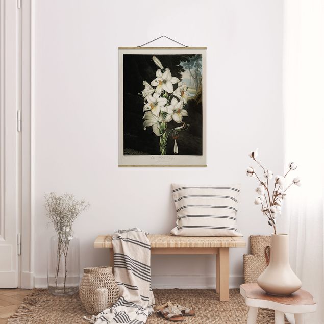 Foto su tessuto da parete con bastone - Botanica illustrazione d'epoca White Lily - Verticale 4:3