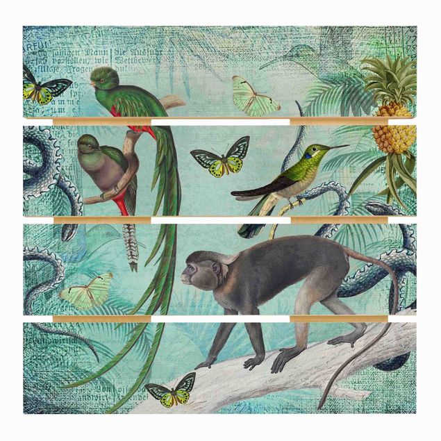Stampa su legno - Coloniale Collage - Scimmie e uccelli del paradiso - Quadrato 1:1