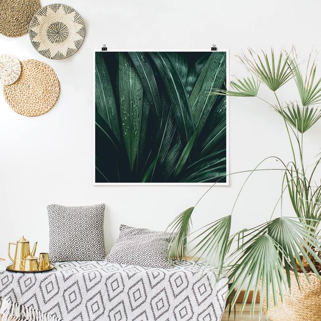 Poster - Verdi foglie di palma - Quadrato 1:1