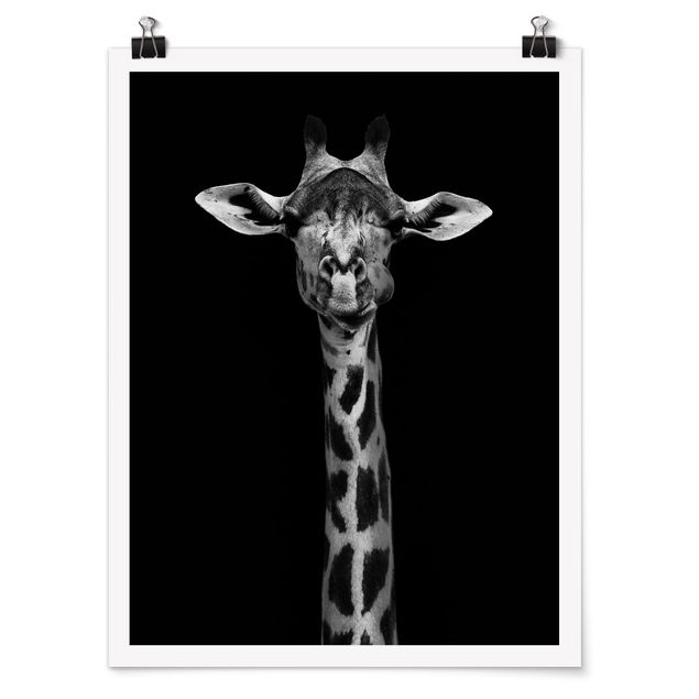 Poster - Scuro Giraffe Portrait - Verticale 4:3