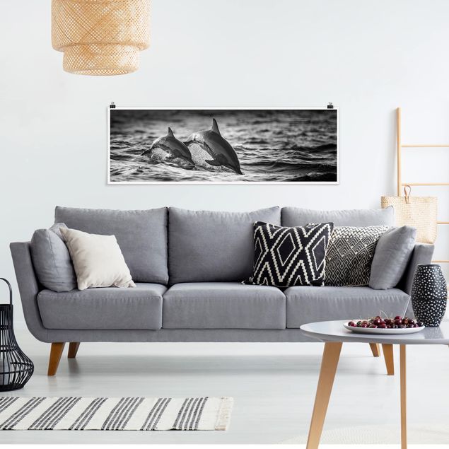 Poster - Due delfini che saltano - Panorama formato orizzontale