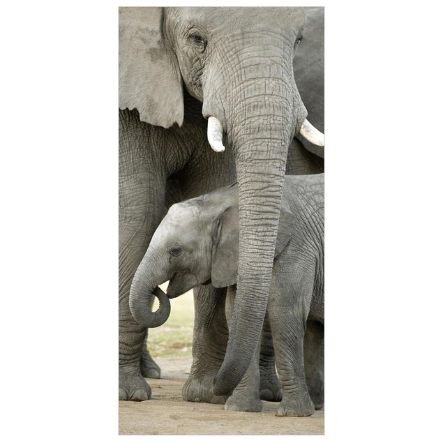 Tenda a pannello Elephant love 250x120cm