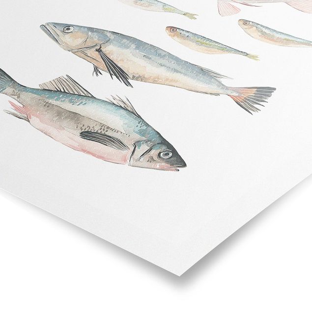 Poster - Sette pesce in acqua di colore II - Verticale 4:3