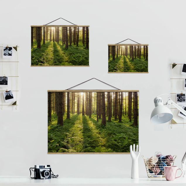Foto su tessuto da parete con bastone - Raggi di Sun nel verde della foresta - Orizzontale 2:3