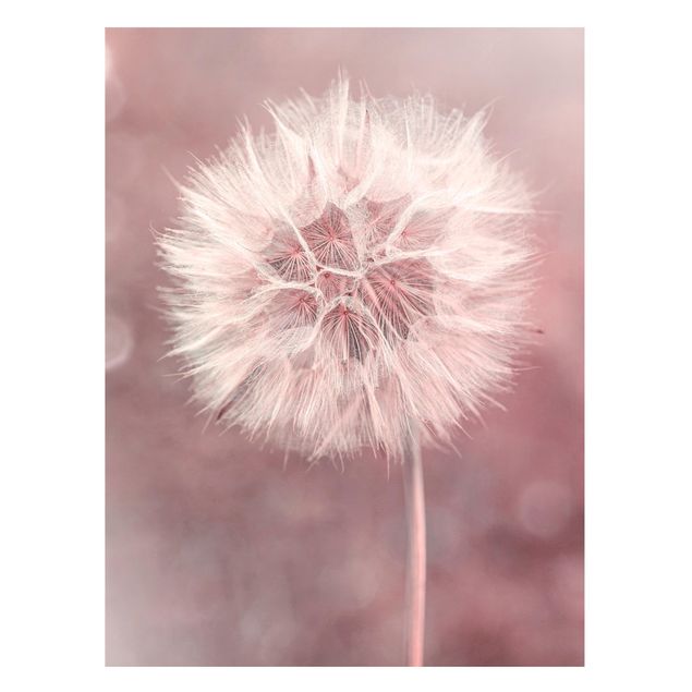Lavagna magnetica - Dandelion rosa bokeh - Formato verticale 4:3
