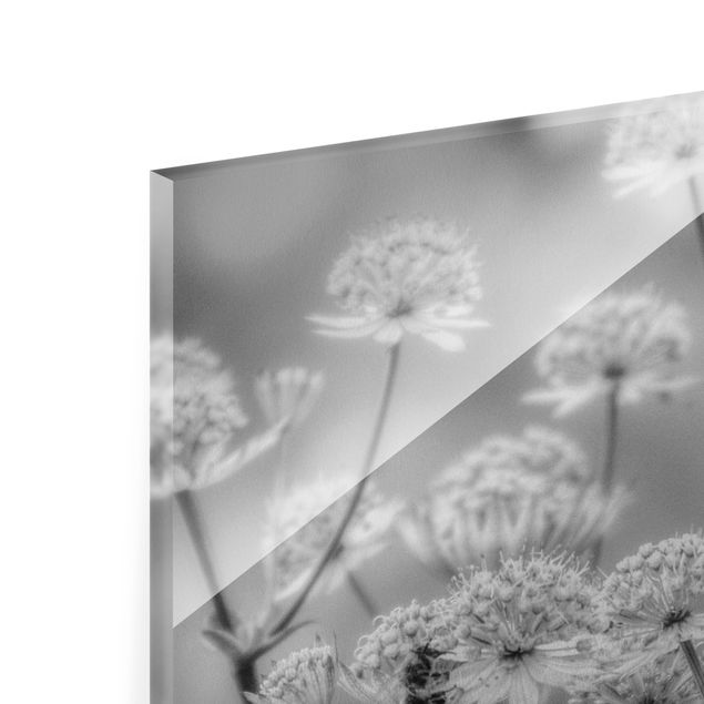 Quadro in vetro - Leggeri fiori selvatici II - Formato orizzontale