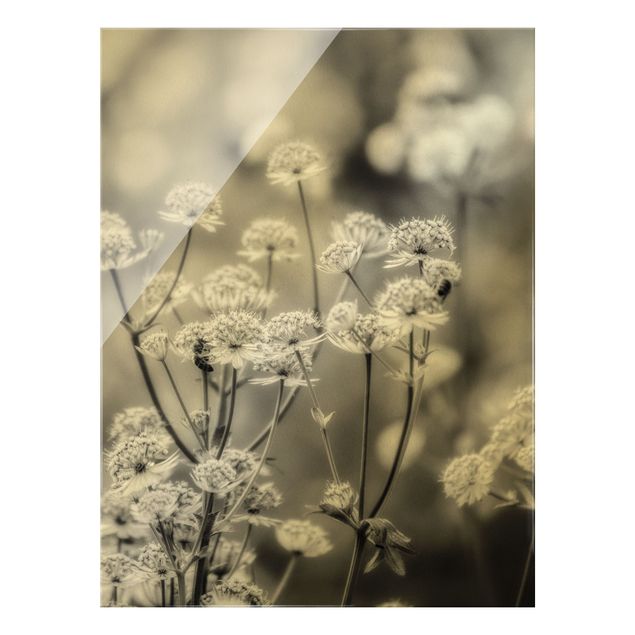 Quadro in vetro - Leggeri fiori selvatici II - Formato verticale