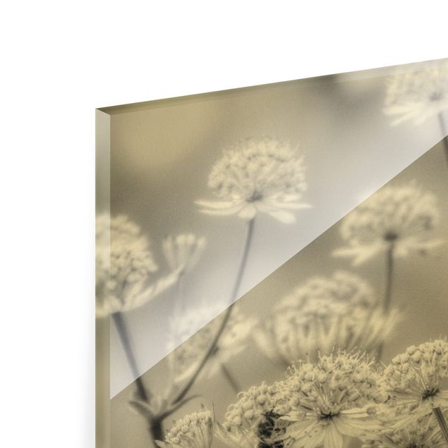 Quadro in vetro - Leggeri fiori selvatici II - Formato orizzontale