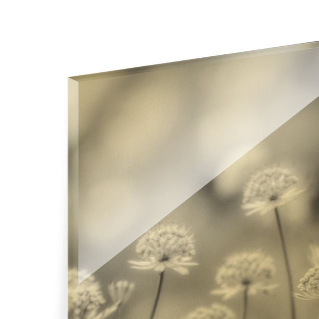 Quadro in vetro - Leggeri fiori selvatici II - Formato verticale