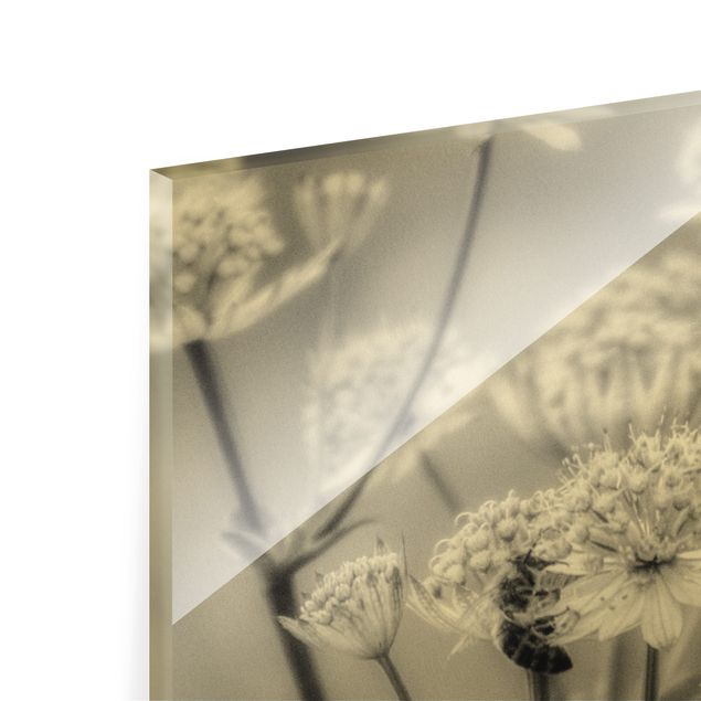 Quadro in vetro - Leggeri fiori selvatici II - Panorama