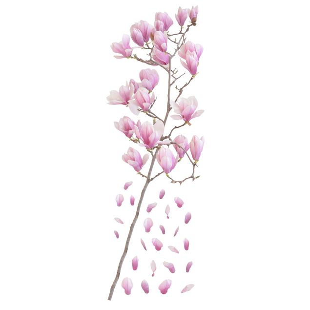 Pellicola per vetri Set rami di magnolia