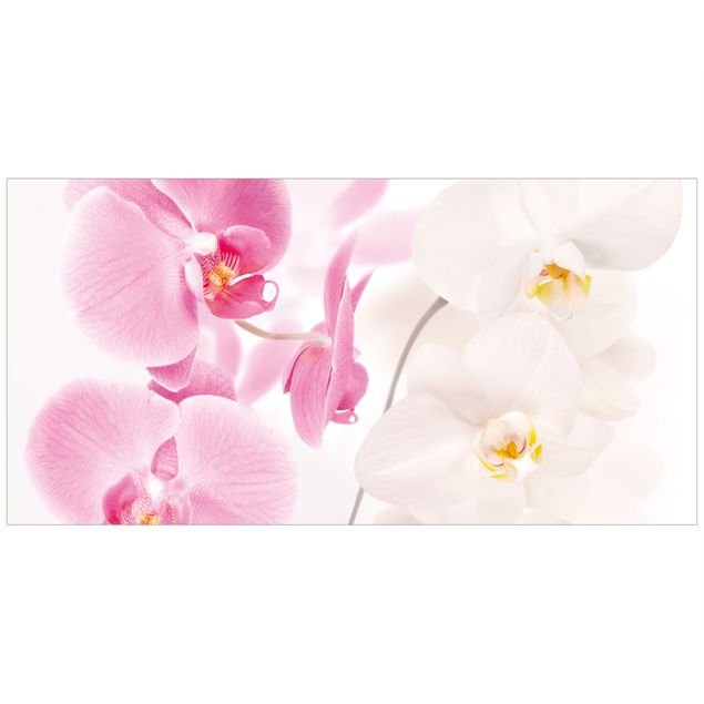 Pellicola per vetri per salone Orchidee delicate