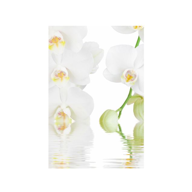 Pellicola per vetri per salone Wellness orchid