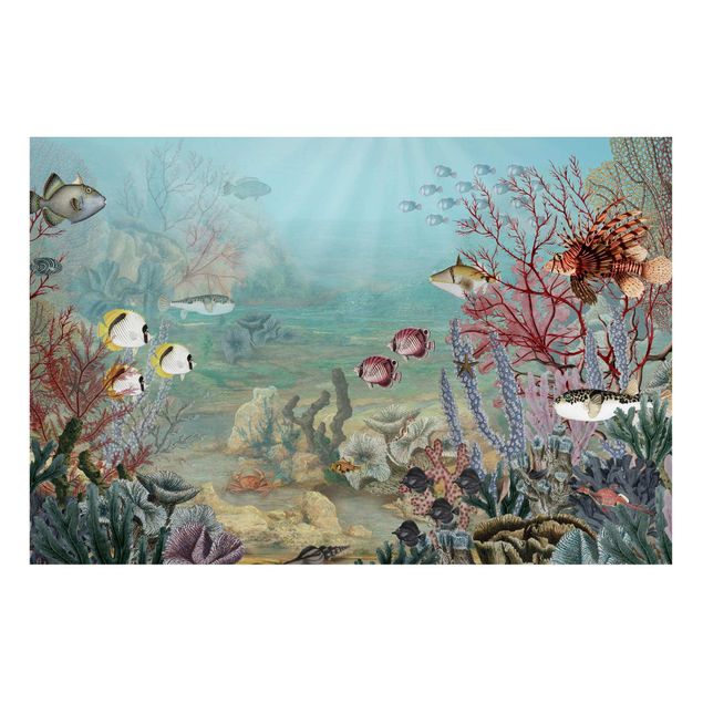 stampe animali Vista da lontano nella barriera corallina