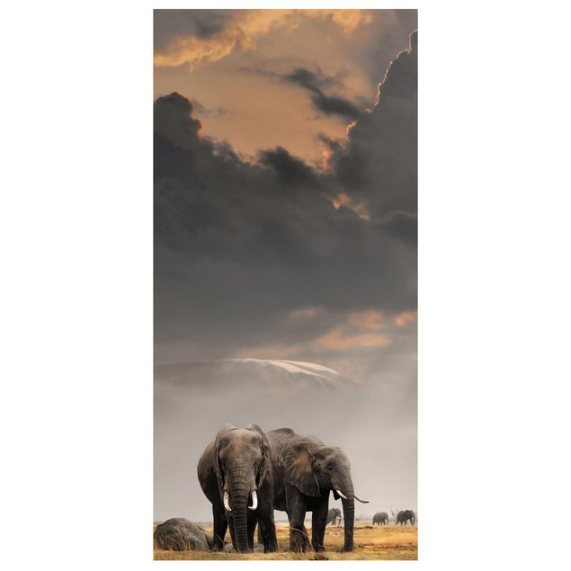 Tenda a pannello Elephants in the Savanna 250x120cm