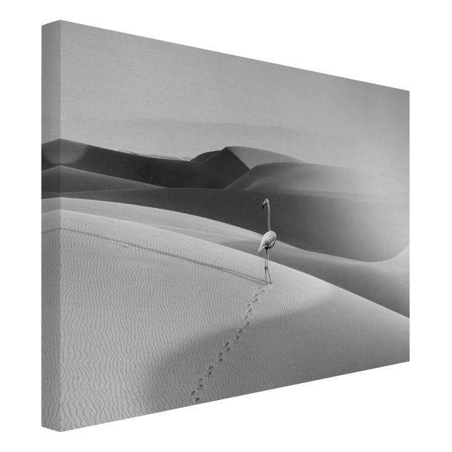 Tele con paesaggi Fenicottero nel deserto