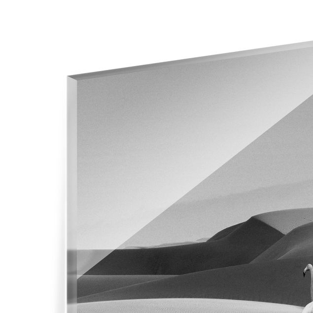 Quadro in vetro - Fenicottero nel deserto - Quadrato 1:1