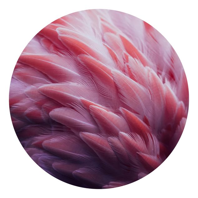 Carta da parati rotonda autoadesiva - piume Flamingo Close-up
