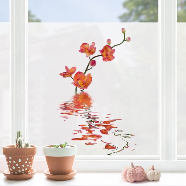 Pellicola per vetri con erbe Flamy Orchid Waters