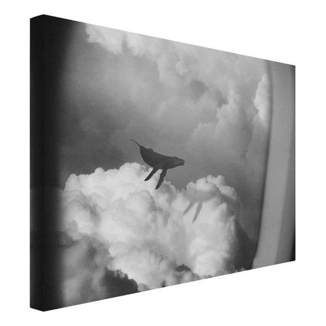 Riproduzione quadri su tela Balenottera volante tra le nuvole
